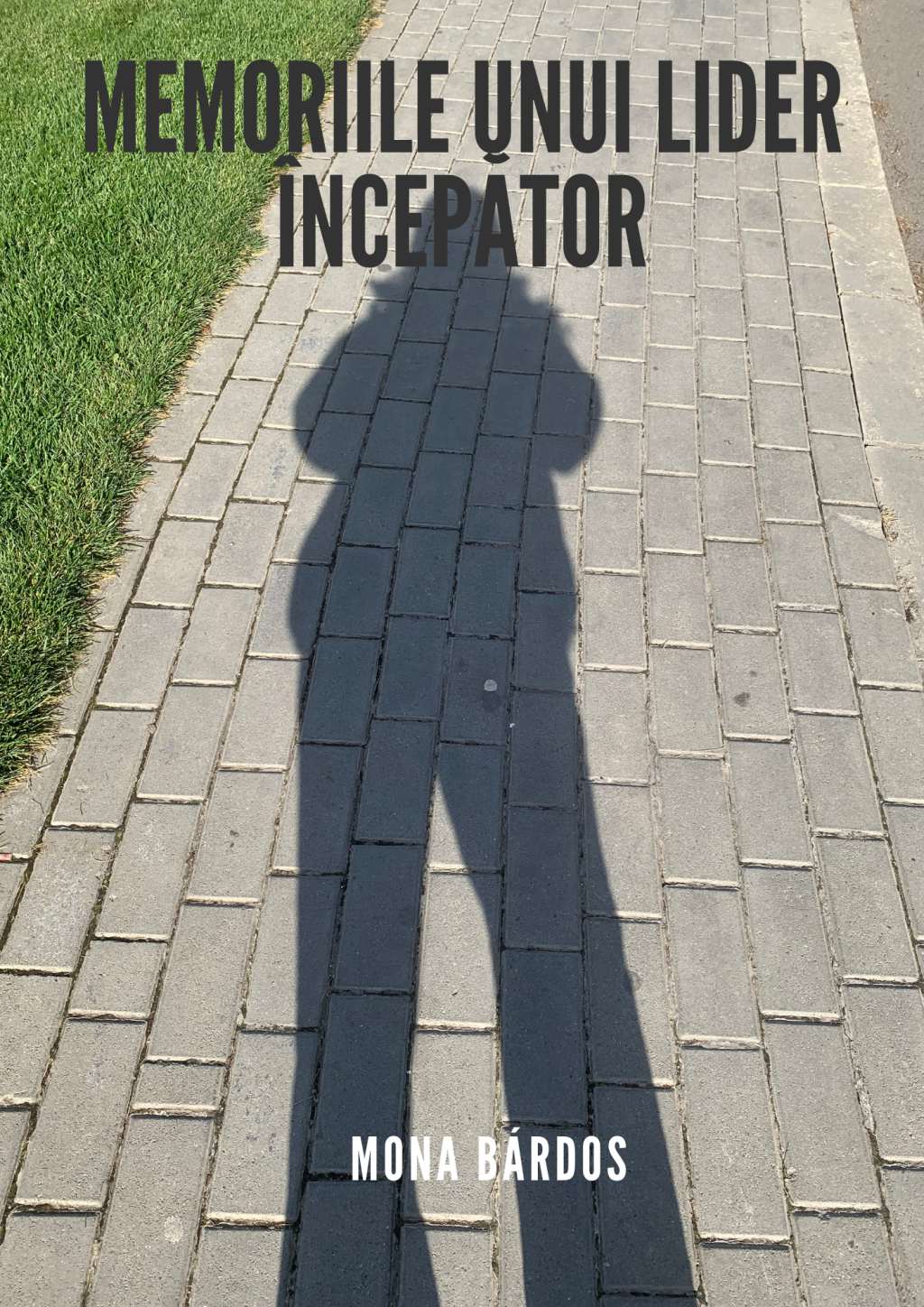 Memoriile unui LIDER începător