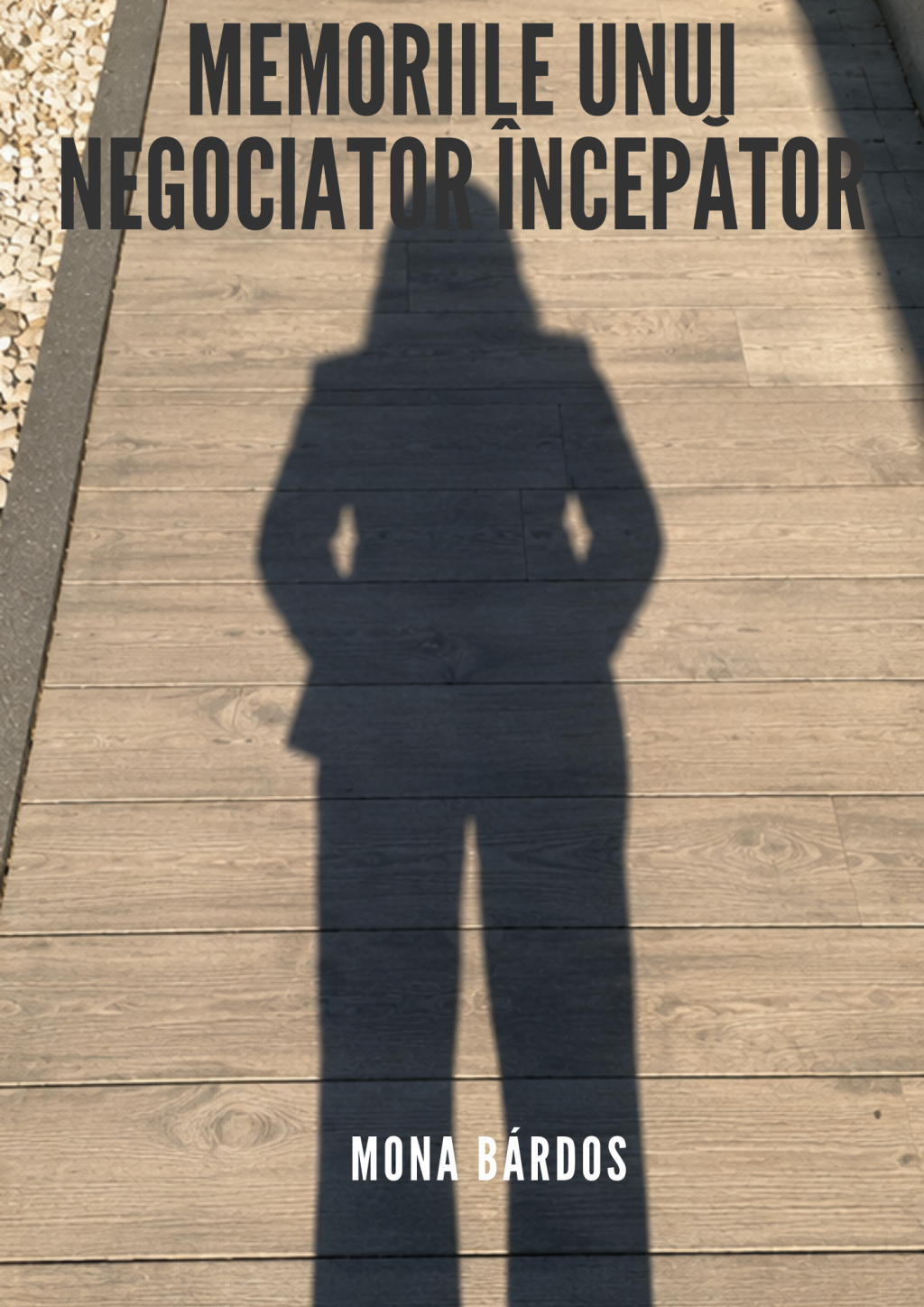 Memoriile unui NEGOCIATOR începător